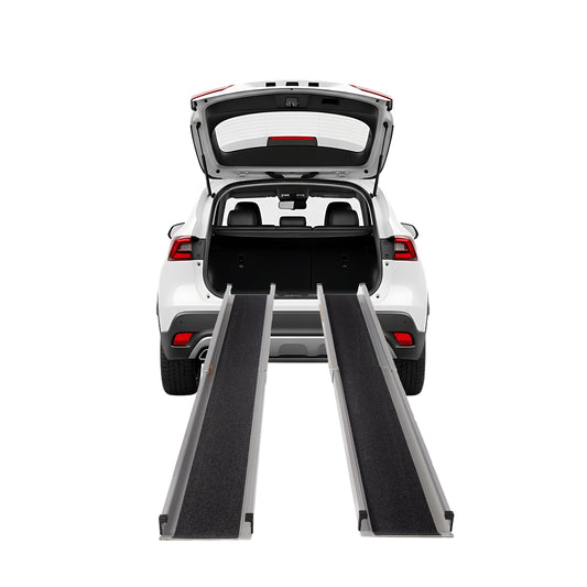 Lightweight Extendable Ramps